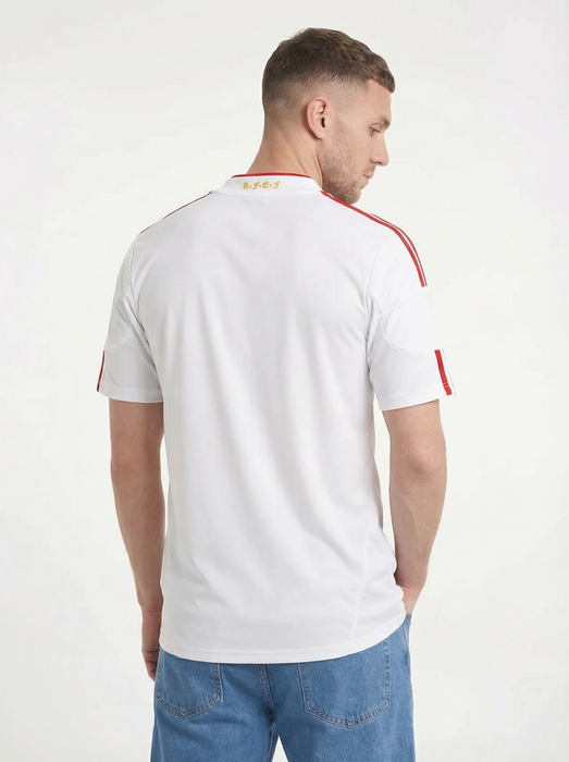 SPANIEN BORTA KLASSISK KIT 2011